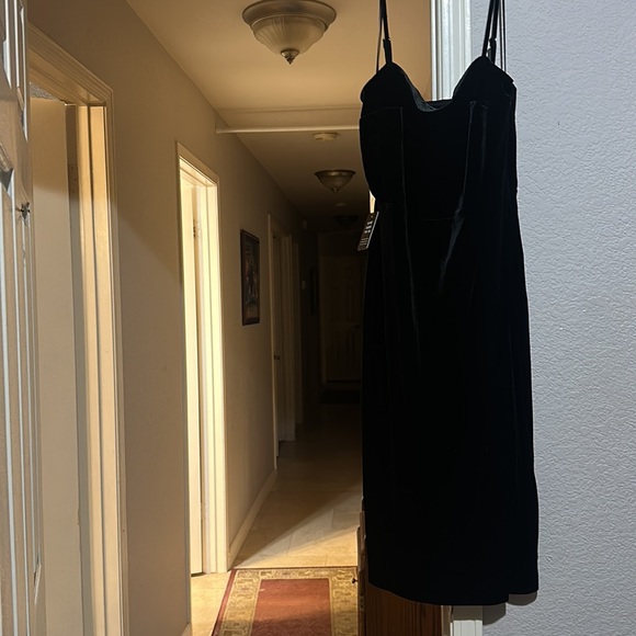 New with tags velvet dress express medium - Picture 5 of 8